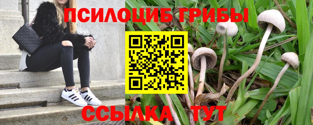 Галлюциногенные грибы мухоморы  Вход с VPN  Губкинский 