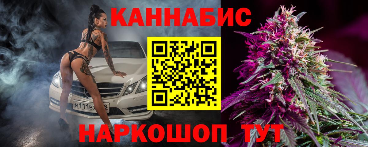 Канабис OG Kush Губкинский